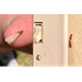 Preparing for the Termite Swarms
