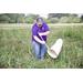 Seeing red: Avoiding destructive pests with timely cover crop management 