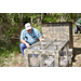 Birds of a feather? Turkey disease research expands to include quail 