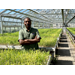 Better berries, cold-tolerant sugarcane, precision breeding is making it possible 