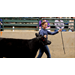 Livestock project teaches life lessons