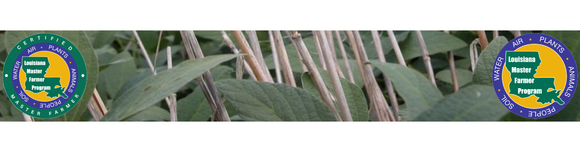 LOUISIANA MASTER FARMER PROGRAM
