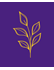 NIFA Competitive Grant Opportunities