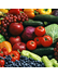 Nutrition and Food Sciences