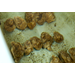 Oyster mapping research looks at determining potential future sites for raising oysters