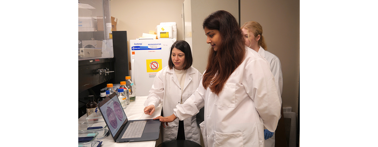 Gut Microbiome Research