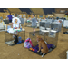 A Look Back: LSU AgCenter responds heriocally to hurricane disasters