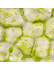 Plant Pathology and Crop Physiology