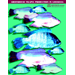Greenhouse Tilapia Production in Louisiana