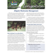 Louisiana Irrigation:  Alligator Washwater Management