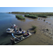 LSU AgCenter receives more than $1.6 million to study harmful roseau cane die-back 