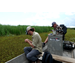 Weevil can help control giant salvinia