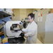 AgCenter scientists advance theory on fat cells 