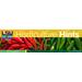 Horticulture Hints for Louisiana - Summer 2026